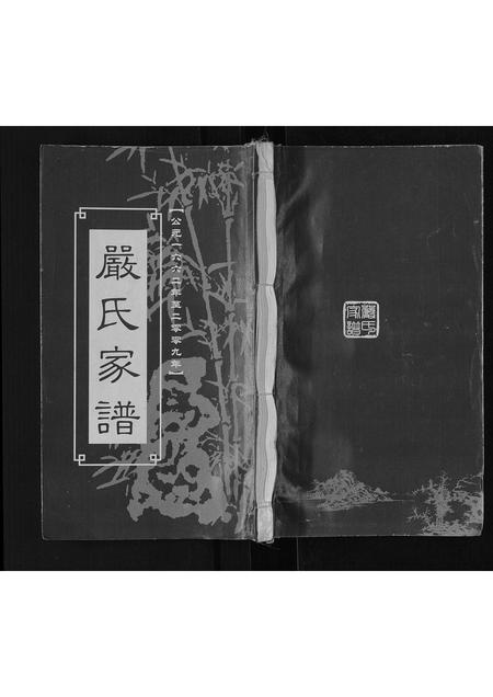 四川严氏-严氏宗谱[不分卷].pdf电子版插图