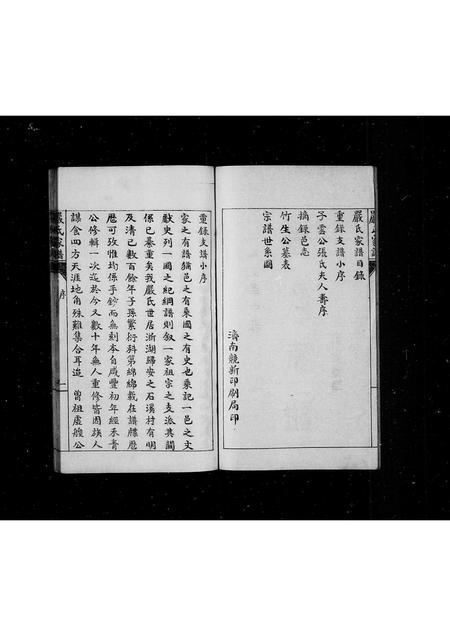 山东严氏-严氏家谱(别名：重录严氏家谱).pdf电子版插图2