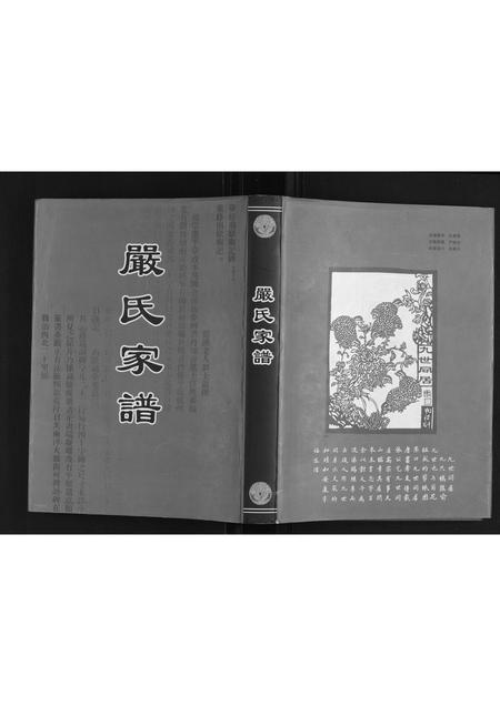 山东严氏-严氏家谱.pdf电子版