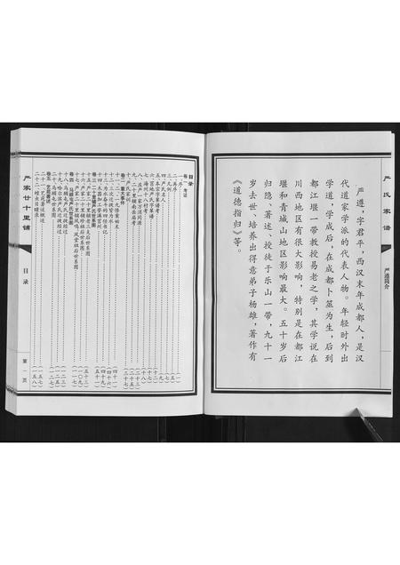 山东严氏-严氏家谱.pdf电子版插图3