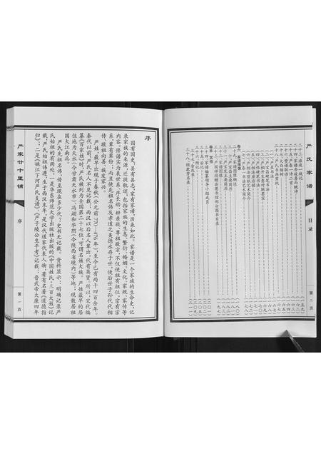 山东严氏-严氏家谱.pdf电子版插图4