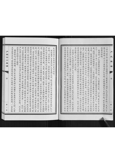 山东严氏-严氏家谱.pdf电子版插图5