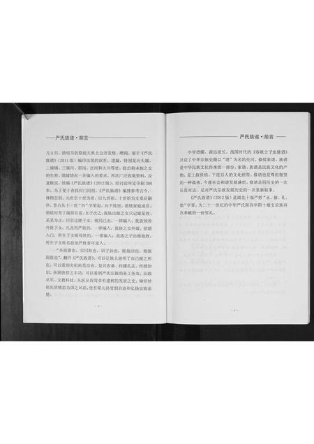 陜西严氏-严氏族谱[不分卷].pdf电子版插图4