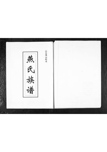 山东燕氏-山东博山蛟龙燕氏族谱[1册](别名：Shan Dong Bo Shan Jiao Long Yan Shi Zu Pu).pdf电子版
