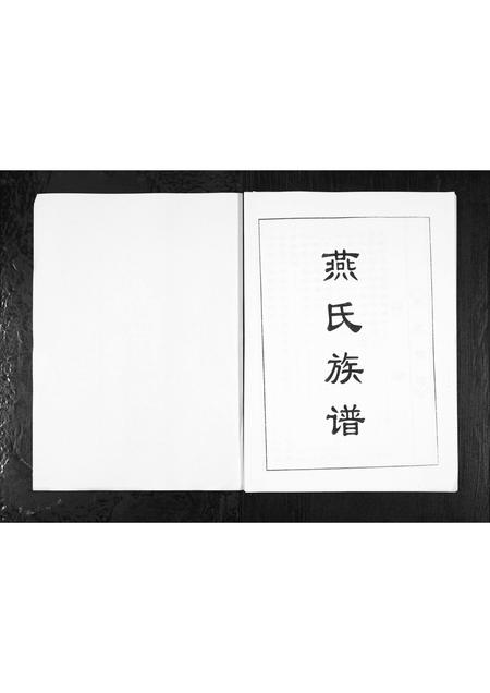 山东燕氏-山东博山蛟龙燕氏族谱[1册](别名：Shan Dong Bo Shan Jiao Long Yan Shi Zu Pu).pdf电子版插图1