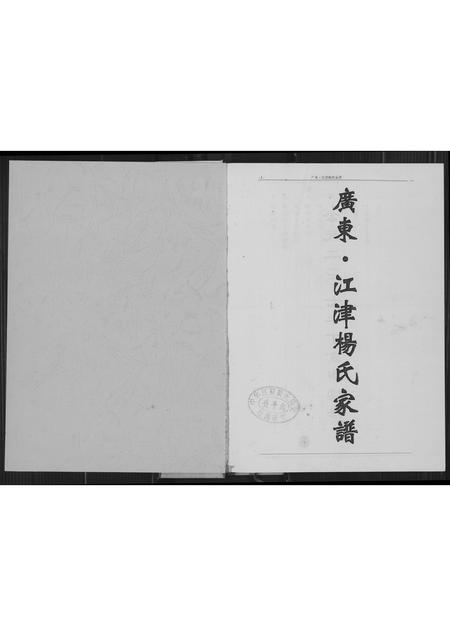 四川杨氏-广东.江津杨氏族谱.pdf电子版插图2