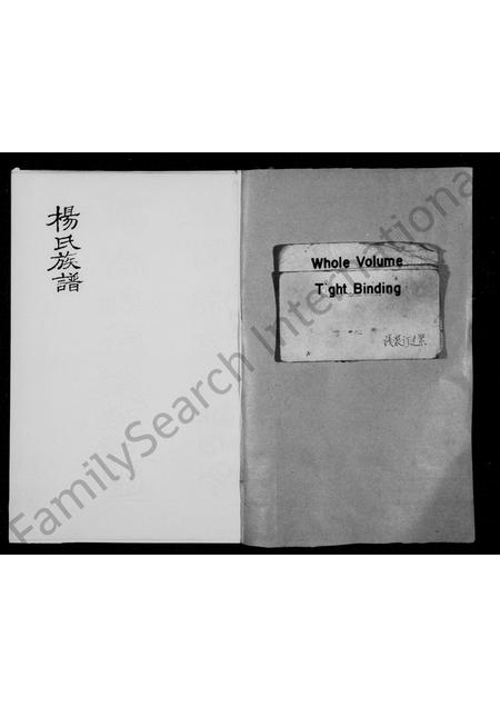 四川杨氏-杨氏族谱.pdf电子版插图1