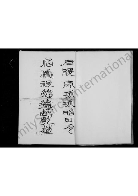 四川杨氏-杨氏族谱.pdf电子版插图2