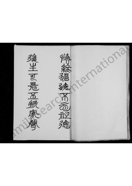 四川杨氏-杨氏族谱.pdf电子版插图3