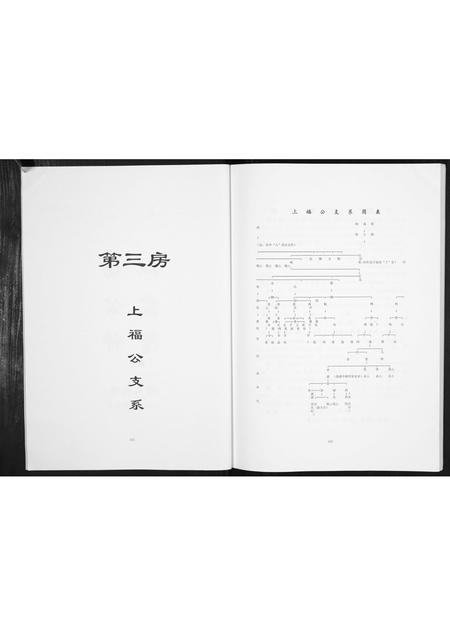 四川杨氏-杨氏族谱.pdf电子版插图2