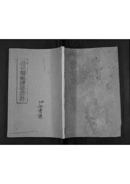 四川杨氏-杨氏谱帙续编汇集[不分卷].pdf电子版插图