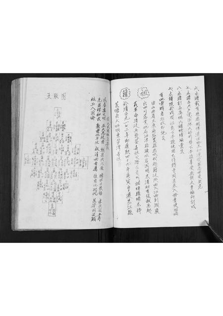 四川杨氏-杨氏谱帙续编汇集[不分卷].pdf电子版插图2