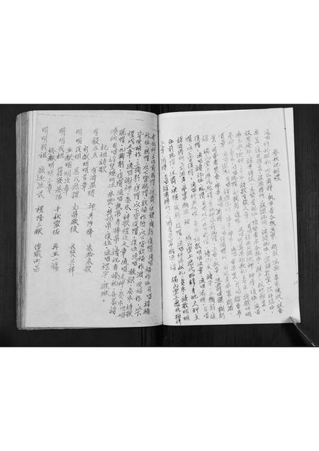 四川杨氏-杨氏谱帙续编汇集[不分卷].pdf电子版插图3