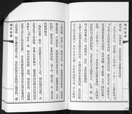山东杨氏-即墨杨氏家乘[不分卷].pdf电子版插图2
