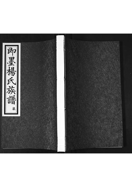 山东杨氏-即墨杨氏族谱[残卷].pdf电子版插图