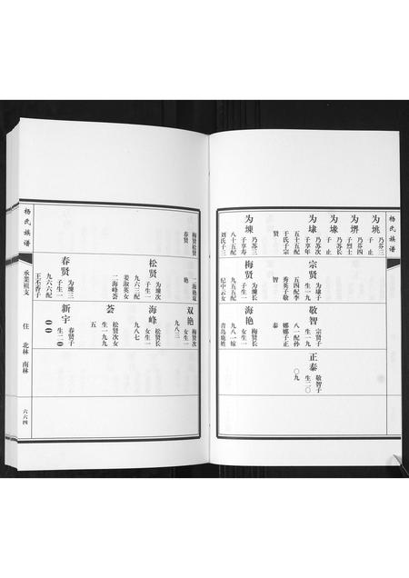 山东杨氏-即墨杨氏族谱[残卷].pdf电子版插图2