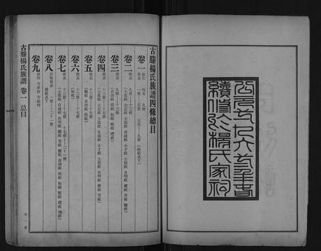 山东杨氏-古滕杨氏族谱[10卷又2卷12卷].pdf电子版插图2