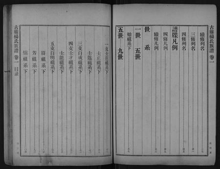 山东杨氏-古滕杨氏族谱[10卷又2卷12卷].pdf电子版插图4