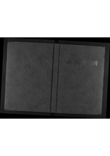 山东杨氏-杨氏世谱[不分卷].pdf电子版插图