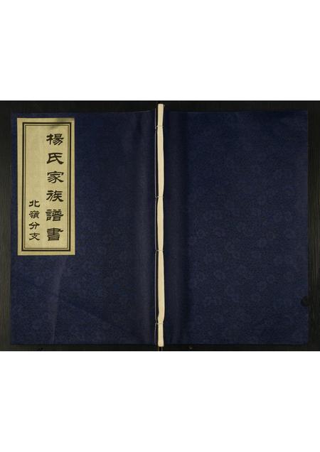 山东杨氏-杨氏家族谱书.北岭分支.pdf电子版插图