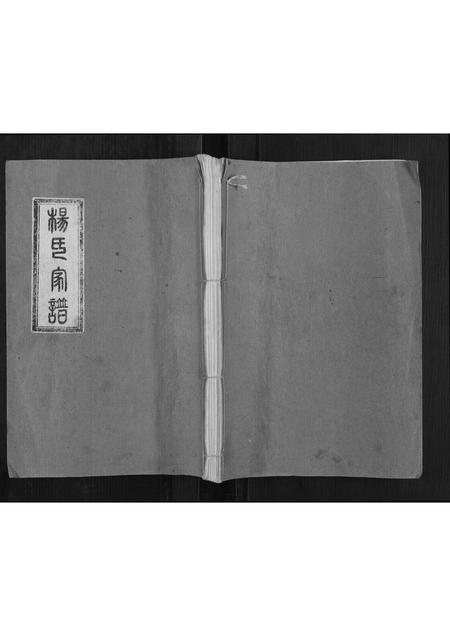 山东杨氏-杨氏家谱.pdf电子版插图