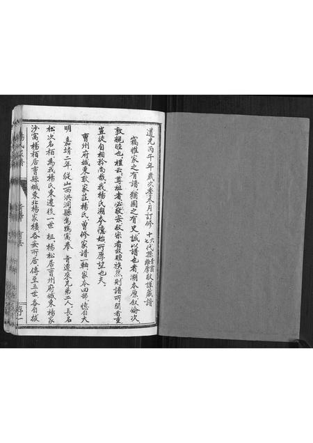 山东杨氏-杨氏家谱.pdf电子版插图1