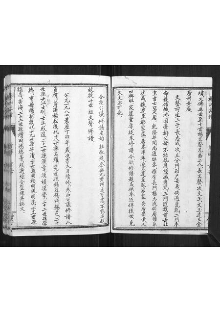 山东杨氏-杨氏家谱.pdf电子版插图2