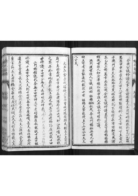 山东杨氏-杨氏家谱.pdf电子版插图3
