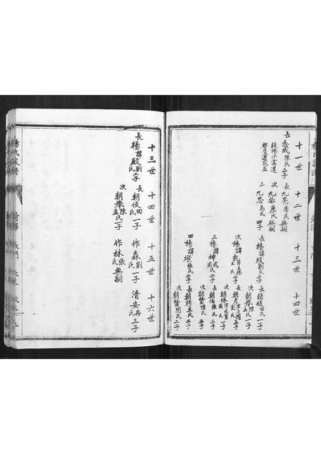 山东杨氏-杨氏家谱.pdf电子版插图5