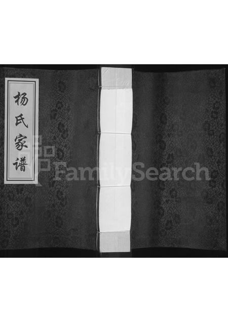 山东杨氏-杨氏家谱.pdf电子版插图