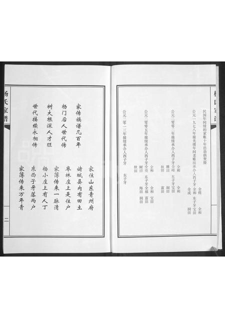 山东杨氏-杨氏家谱.pdf电子版插图3