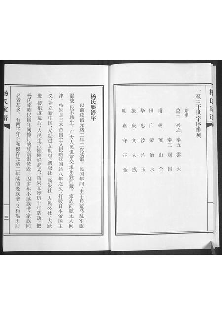 山东杨氏-杨氏家谱.pdf电子版插图4