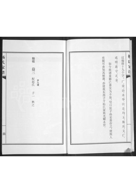 山东杨氏-杨氏家谱.pdf电子版插图5