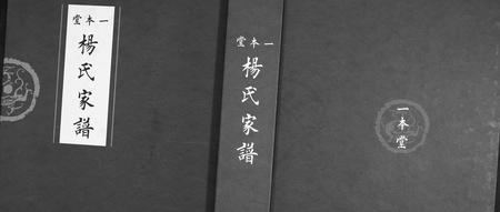 山东杨氏-杨氏家谱.pdf电子版插图