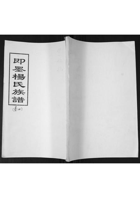 山东杨氏-杨氏族谱.pdf电子版插图