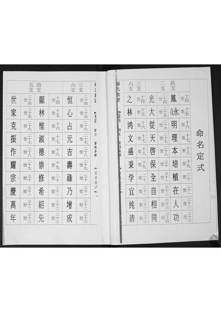 山东杨氏-杨氏族谱.pdf电子版插图2