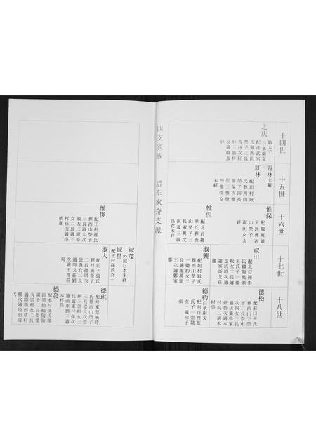 山东杨氏-杨氏族谱[3部].pdf电子版插图2