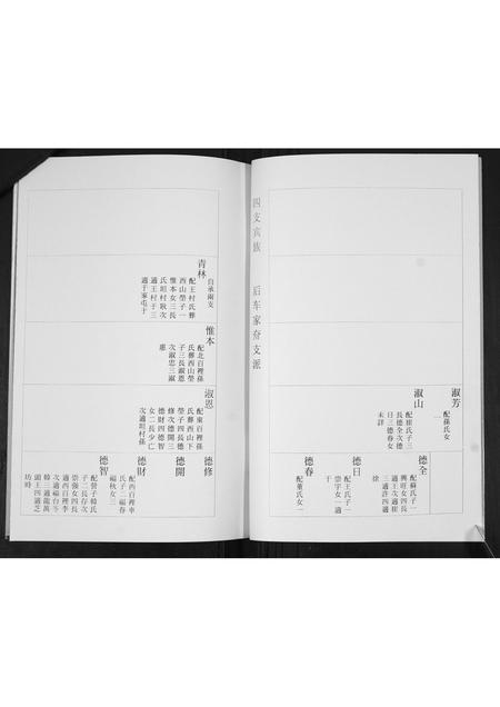 山东杨氏-杨氏族谱[3部].pdf电子版插图4