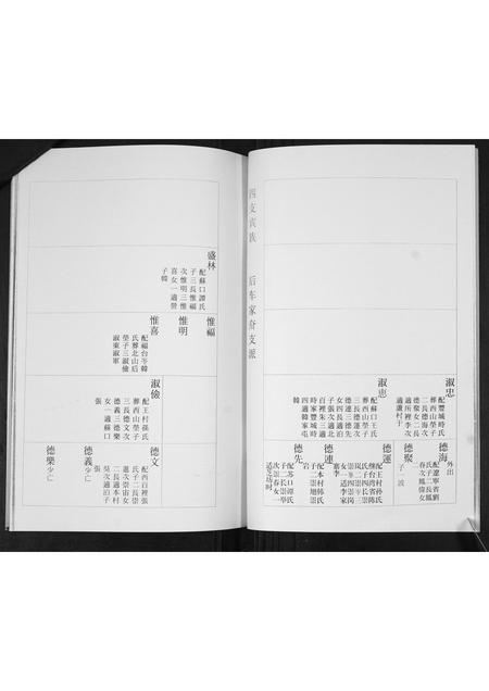 山东杨氏-杨氏族谱[3部].pdf电子版插图5