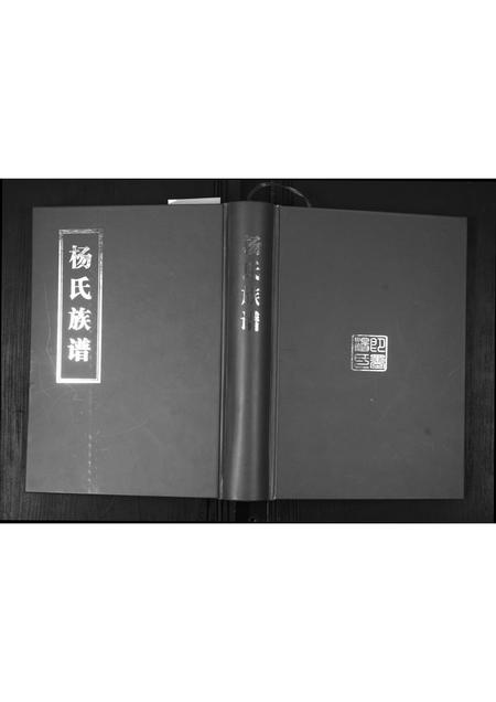 山东杨氏-杨氏族谱[不分卷].pdf电子版插图