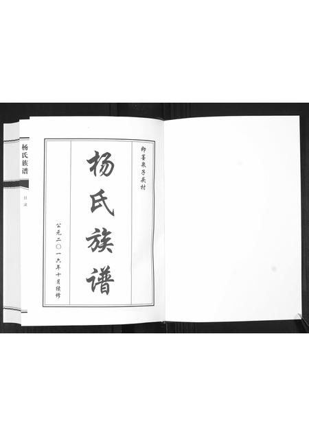 山东杨氏-杨氏族谱[不分卷].pdf电子版插图1