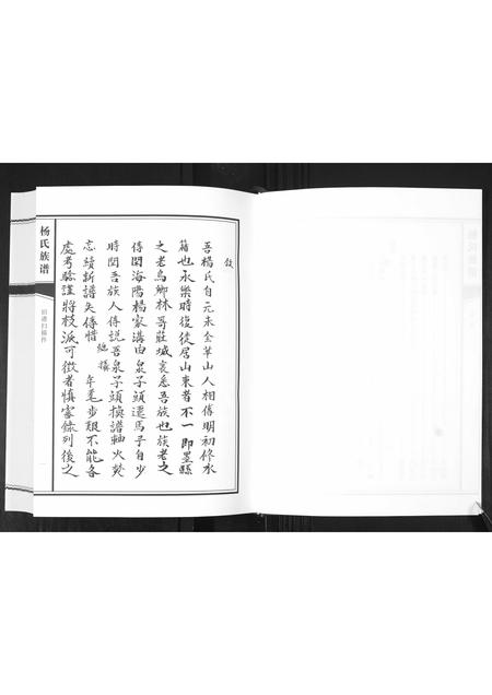 山东杨氏-杨氏族谱[不分卷].pdf电子版插图3