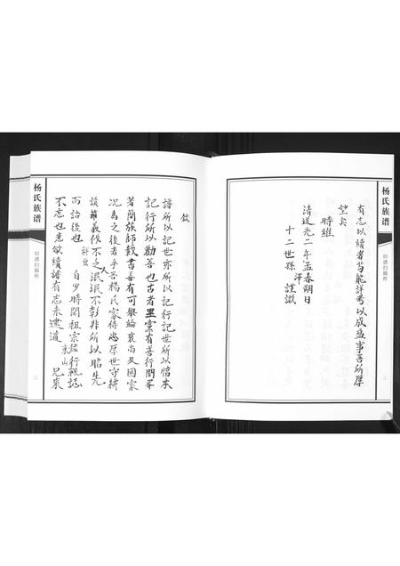 山东杨氏-杨氏族谱[不分卷].pdf电子版插图4