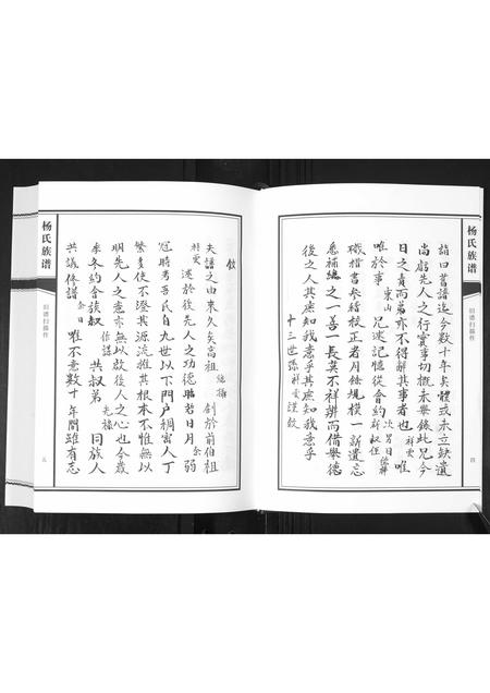 山东杨氏-杨氏族谱[不分卷].pdf电子版插图5