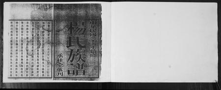 山东杨氏-杨氏族谱[不分卷].pdf电子版插图1
