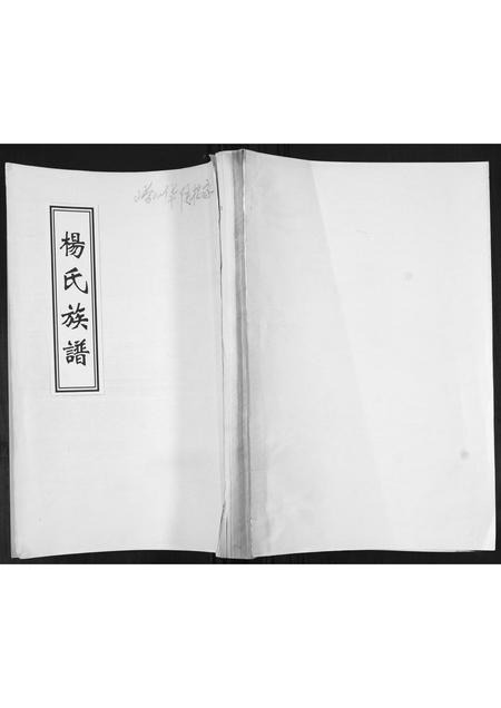 山东杨氏-杨氏族谱[不分卷].pdf电子版插图