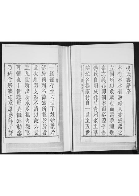 山东杨氏-杨氏族谱[不分卷].pdf电子版插图2