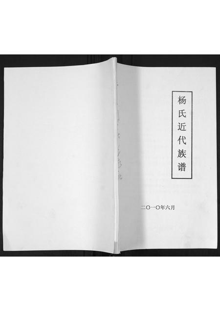 山东杨氏-杨氏近代族谱.pdf电子版插图