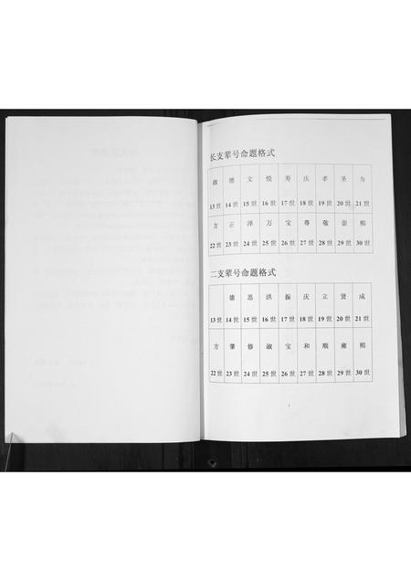 山东杨氏-杨氏近代族谱.pdf电子版插图3