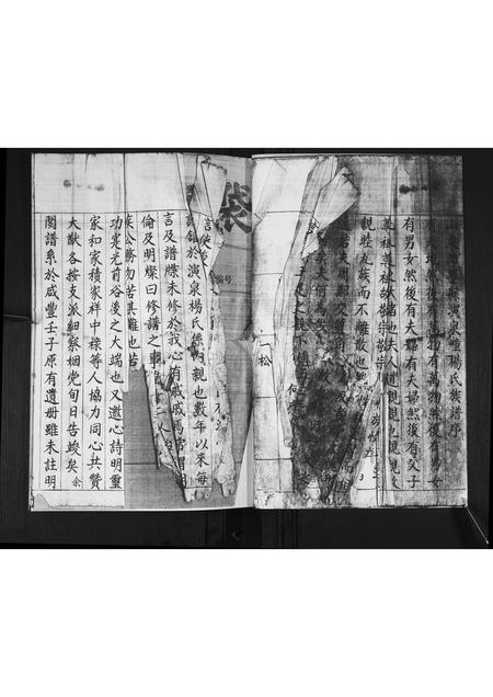 山东杨氏-演泉杨氏族谱[不分卷].pdf电子版插图1